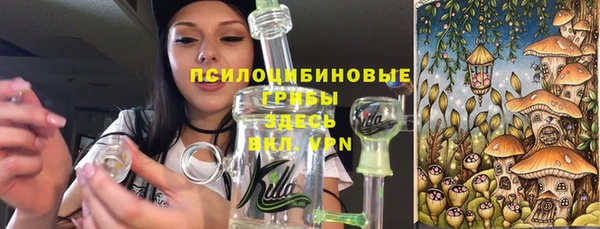 хмурый Михайлов