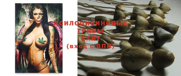 хмурый Михайлов