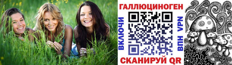 Галлюциногенные грибы Psilocybine cubensis  что такое   Дно 